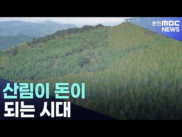 산림이 돈이 되는 시대