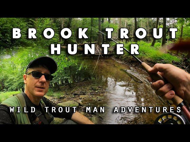 Brook Trout Hunter - Fly Fishing Pennsylvania Mountain Stream