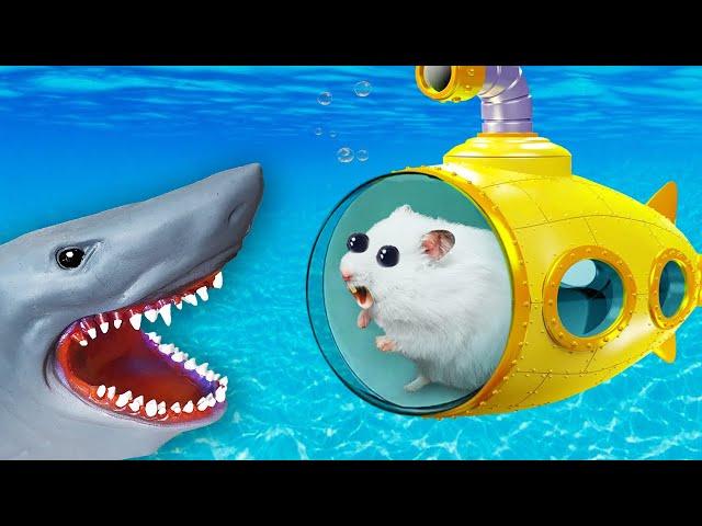  Hamster in Submarine - Hamster Maze with Traps 