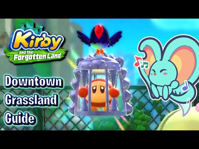 Downtown Grassland - Hidden Waddle Dee Locations Guide