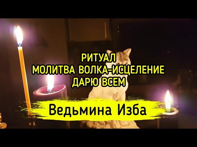 МОЛИТВА ВОЛКА - ИСЦЕЛЕНИЕ. ДАРЮ ВСЕМ. ВЕДЬМИНА ИЗБА ▶️ МАГИЯ