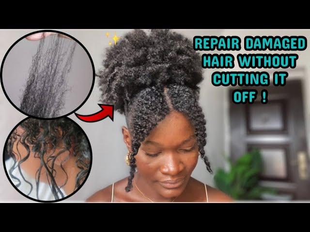 HOW TO REPAIR DAMAGED HAIR AT HOME without cutting it off