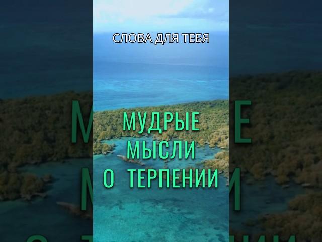 Мудрые Мысли о Терпении | Цитаты | Мудрые Слова #мудрость #цитаты #слова #вдохновение