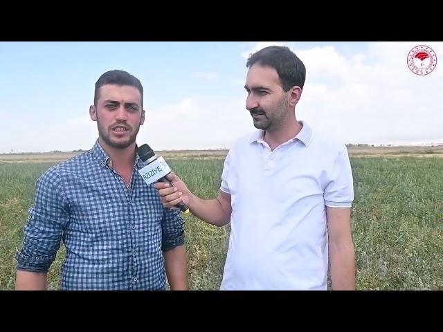 Aziziye İlçe Tarım ve Orman Müdürlüğü - Nohut Ekimi
