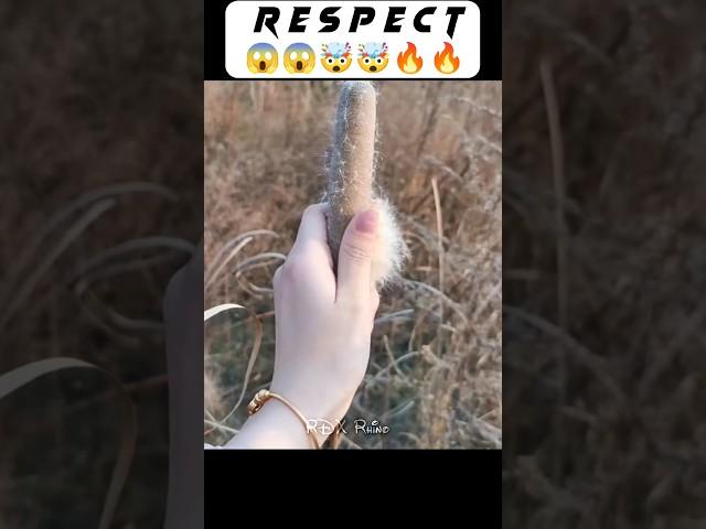 respect 