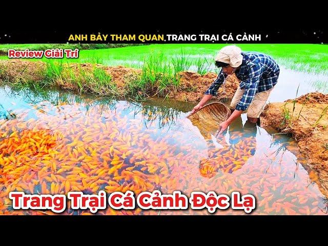 Anh Bảy Ngỡ Ngàng Khi Khám Phá Trang Trại Nuôi Cá Cảnh Của Đứa Bạn Thân || Review Giải Trí Đời Sống