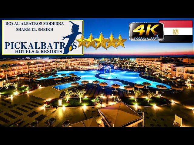 4K ROYAL ALBATROS MODERNA SHARM EL SHEIKH 2023 HOTEL НЕПЛОХАЯ ПЯТЕРКА GOOD BEACH RESORT EGYPT