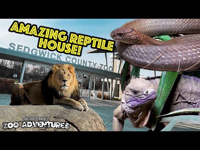 AMAZING REPTILE HOUSE at the Sedgwick County Zoo!