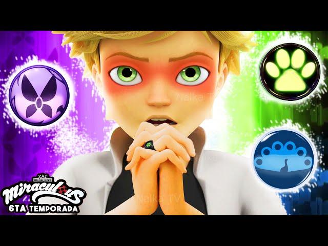 PEACOCK MOTH NOIR - NEW TRANSFORMATIONS  LADYBUG AND CAT NOIR MIRACULOUS 6/ Леди Баг (Fanmade)