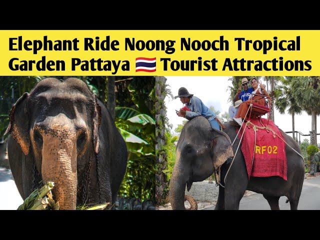 Elephant Ride & Show Nong Nooch Tropical Garden Pattay﻿a  Tourist Attractions @ThaiIndianLife