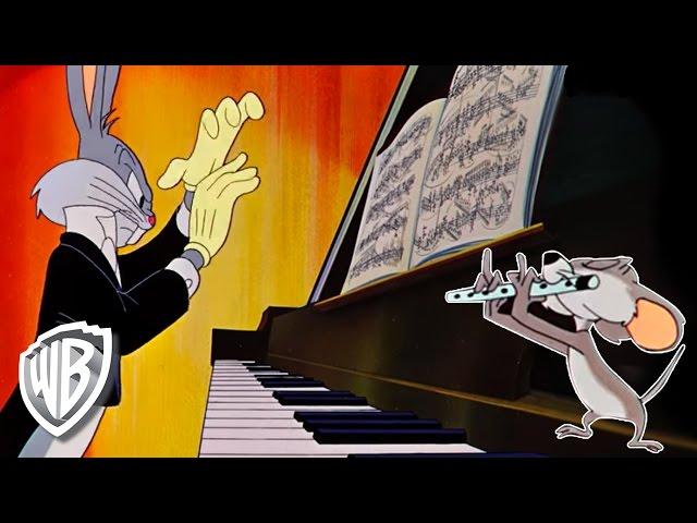 Looney Tunes | Rhapsody Rabbit