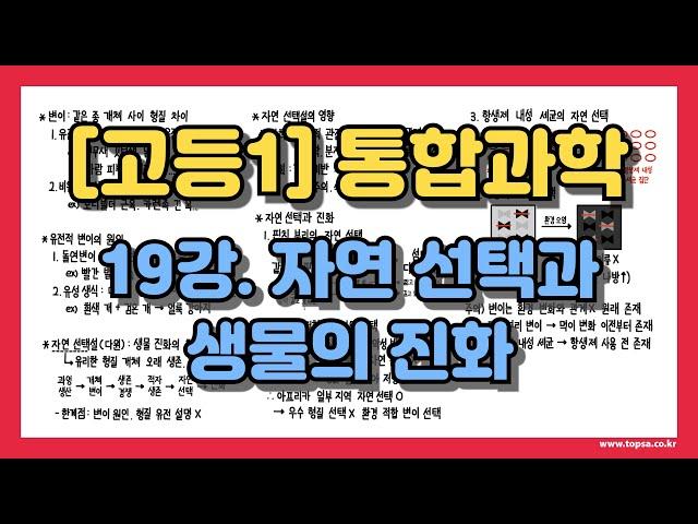 [고1 통합과학] 19강. 변이, 자연선택, 핀치새