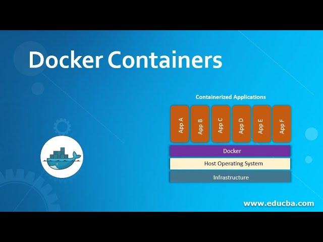 Docker Container Basics Live Session 01