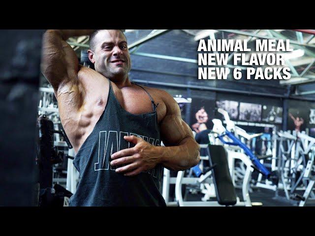 All New Animal Meal Mocha Cappuccino and 6 Pack Boxes