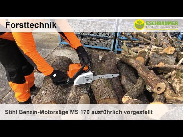 Stihl Benzin-Motorsäge MS 170 ausführlich vorgestellt und im Einsatz