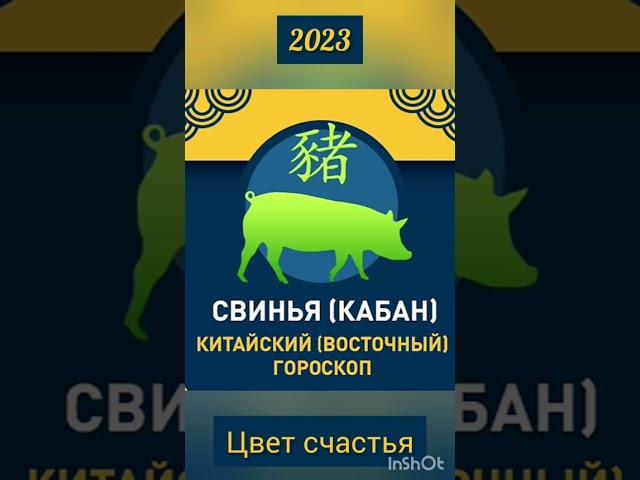 Китайский гороскоп на 2023 год Свинья Цвет Счастья #гороскоп #счастье #свинья #удача #восточный