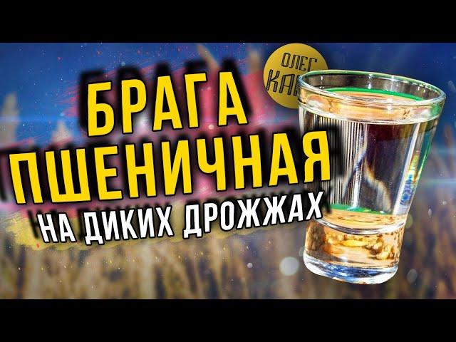 Пшеничная брага на диких дрожжах.  Пшеничный самогон. Как правильно сделать. // Олег Карп