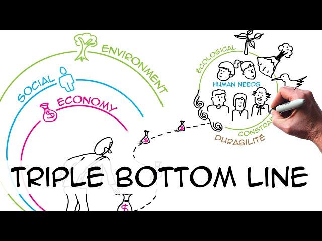 Triple bottom line (3 pillars): sustainability in business