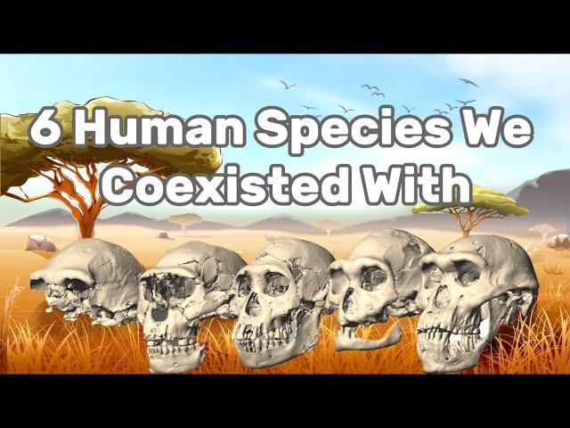 6 Ancient Human Species We Once Co-Existed With