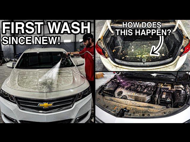 Cleaning The SMELLIEST Car Ever! | First Wash Since New | Smoker's Car Detailing Transformation!