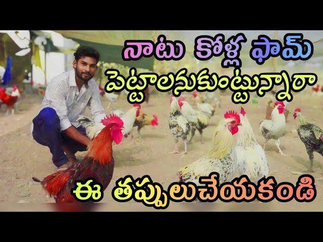 || నాటు కోళ్ల పెంపకం || natu kollu farming information || Sonali breed chicken farming ||