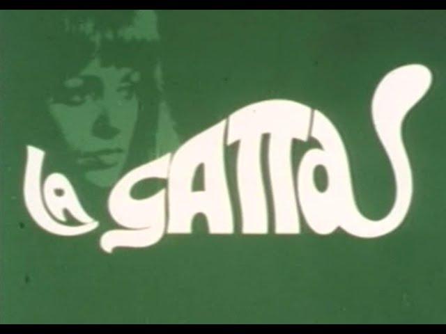 SCENEGGIATO  TV RARISSIMO 1978  "LA GATTA"  C.SPAAK