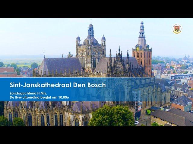 Sint-Janskathedraal Den Bosch,  H. Mis, 25e zondag door het jaar,  22 sept. 2024,  aanvang 10.00u