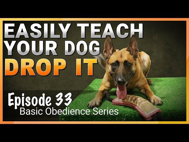 Easily Teach Your Dog The Drop It Command.