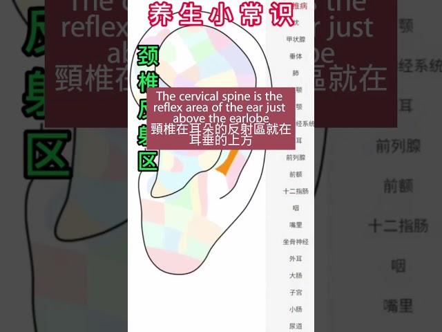 養生小常識之頸椎反射區(三)Health Tips: Cervical Reflection Zone (3) #中醫傳承 #養生 #healthcare #中醫傳承 #養生 #health
