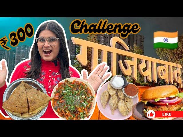 ₹300 Street Food Challenge| Momos,Chilli Potato,Burger,Samosa,stuff Chilla| Ghaziabad Street Food