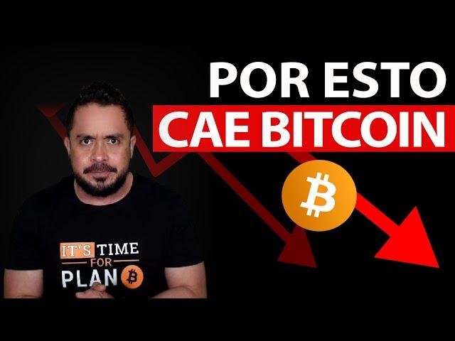 BITCOIN CAE y NO es el FIN del CICLO