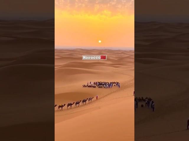 Morocco desert safari #travel #morocco