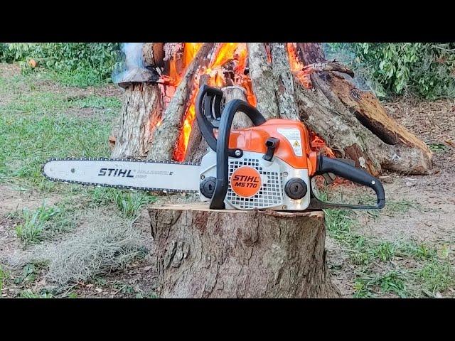 Stihl MS170 torture test. Is a $200 chainsaw worth buying?