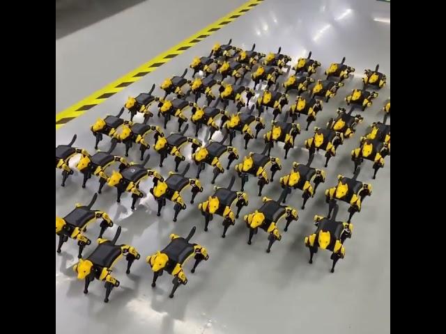 Bittle AI Robot Dog Army Responding to Remote Control Commands | Petoi Camp