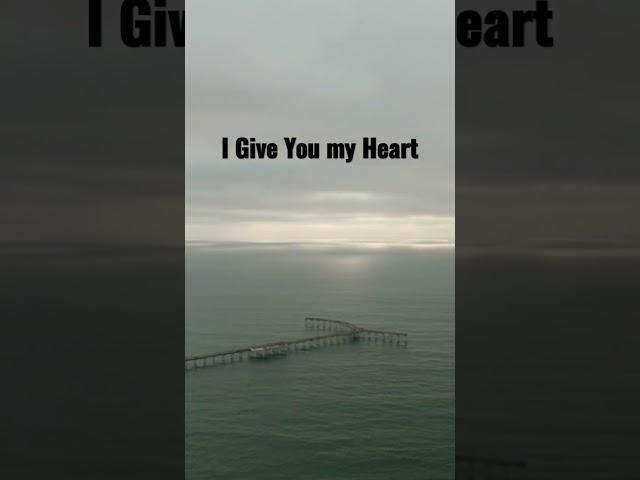 I Give You my Heart