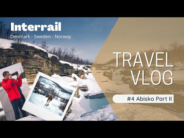 Sweden's ABISKO NATIONAL PARK: Arctic Circle MOOSE Spotting & Outdoor Adventure | Interrail Vlog