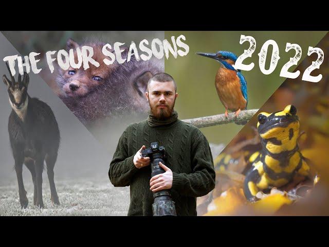 My four Wildlife Photography Seasons of 2022