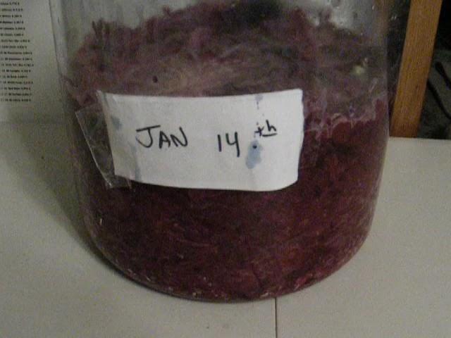 Making Sauerkraut-"Success" and "Failure"