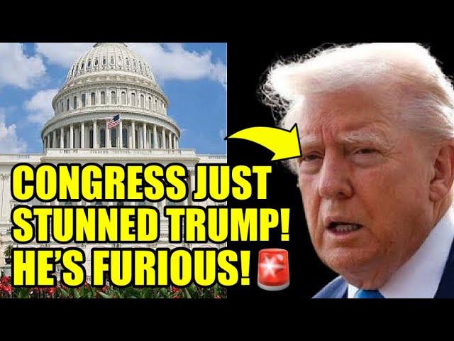 Congress Launches MAJOR INVESTIGATION Into TRUMP