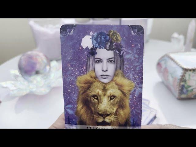 How Do They Feel? Timeless Tarot Reading  @auntyflo