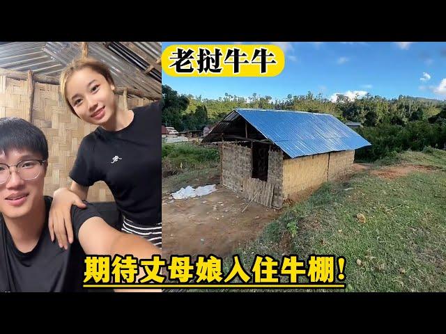 【老挝牛牛】5.19日直播：期待丈母娘入住牛棚！