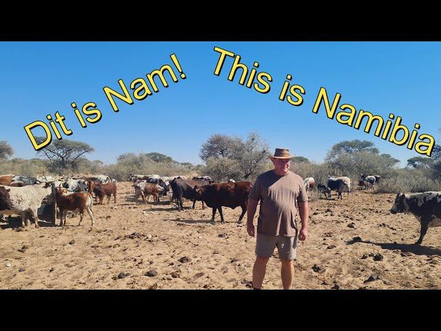 Oppie Plaas  - Wat nou?  Namibia 2024 The Farm 2