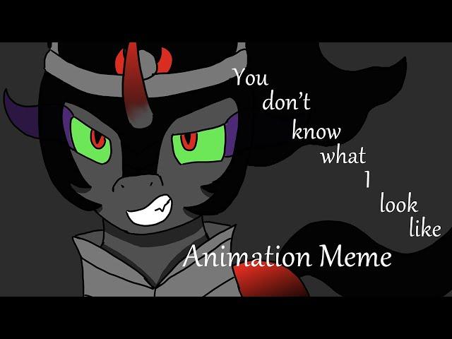 You Don't Know What I Look Like | Animation Meme-ish