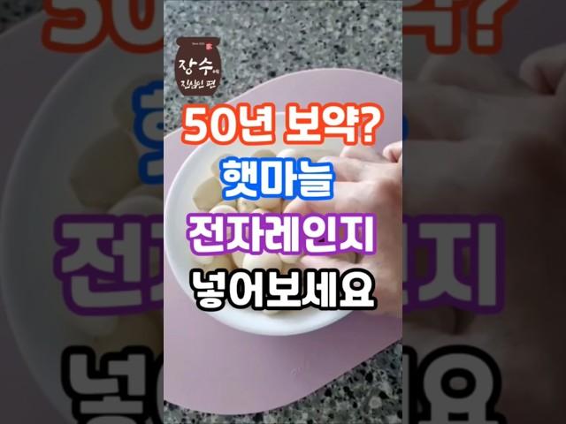 햇마늘 전자렌지에 넣어보세요!! 50년 보약이 필요없어요 #건강정보 #꿀팁 #건강 #마늘#보약
