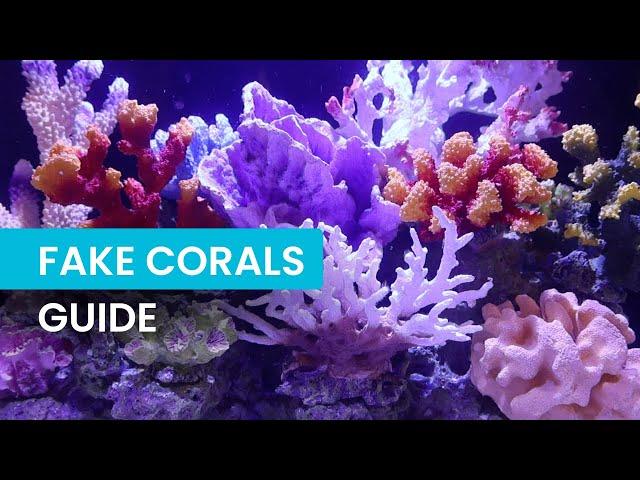 Fake Corals in Aquariums: A Beginner's Guide  | Tips & Benefits for Freshwater & Saltwater Tanks