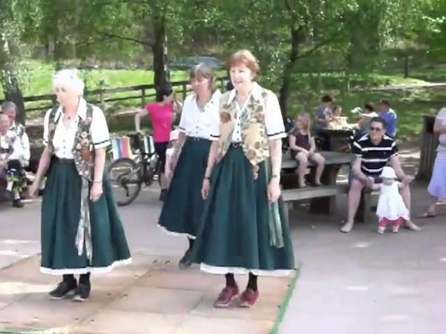 Wimberry Clog,Step Dancers