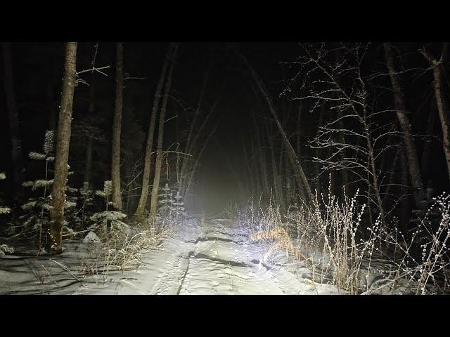 Ночной след куницы/ собака прошла 4 км и не нашла/ куница уходит в болота/