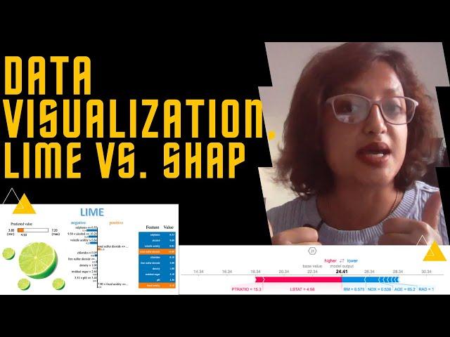 Data Visualization with Python: Lime and SHAP Libraries