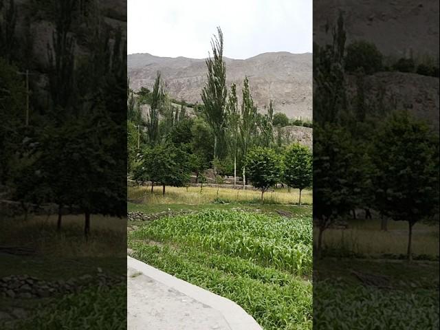 explore Nagar valley Pakistan #nagar #nagarvalley #pakistan #travel #shorts #short #viralshort