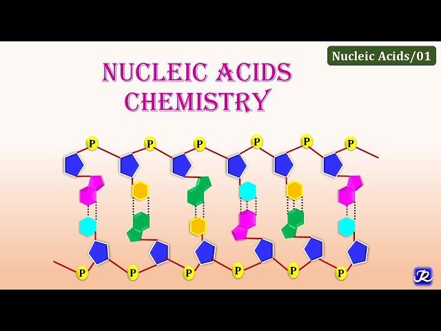 1: Nucleic Acids Chemistry | Molecular Biology | Biochemistry | N'JOY Biochemistry